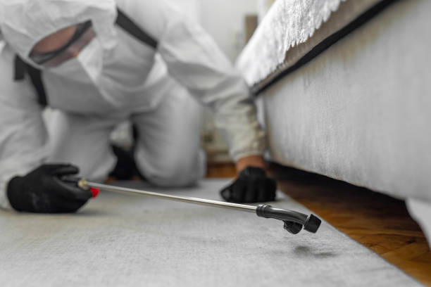 Professional Pest Control technician working in Oregon County County, MO